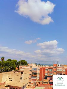 Ambiente circular SALON ALMIJO 3